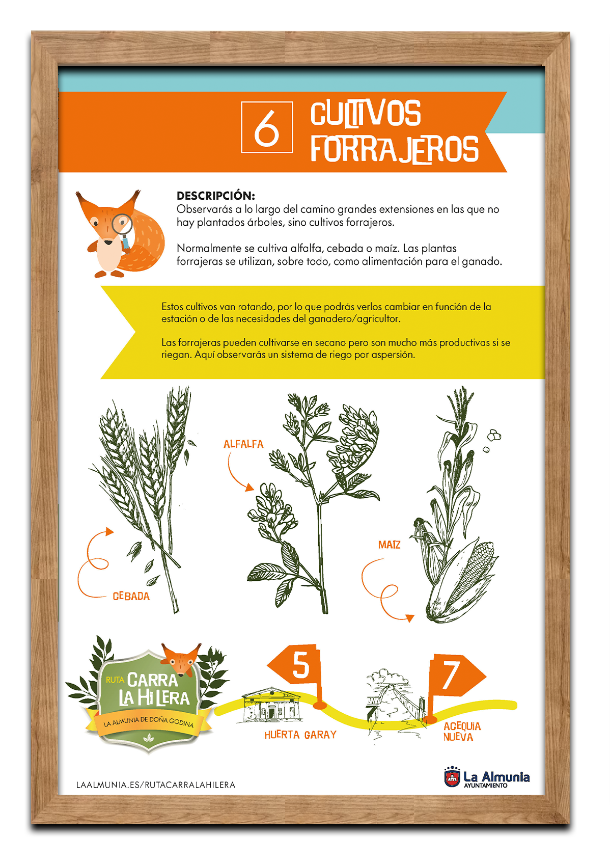 6-cultivos-forrajeros
